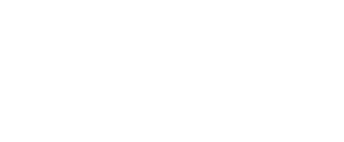 wis-logo-wis-sigmaringen-weiss